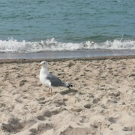 Brzozowy Zakatek Vakantiehuis