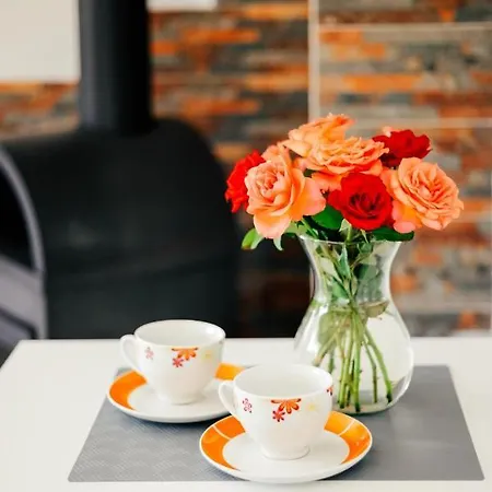 Vakantiehuis Brzozowy Zakatek *