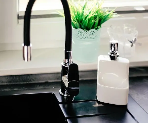 Brzozowy Zakatek Hébergement de vacances